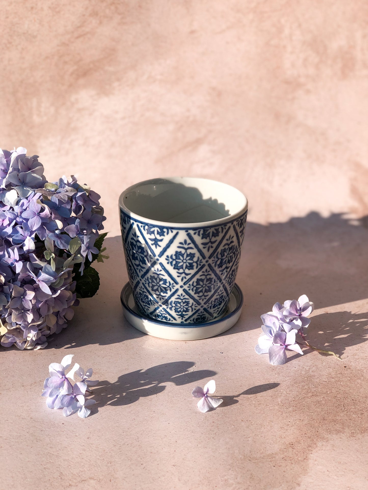 THE MONICA PLANTER