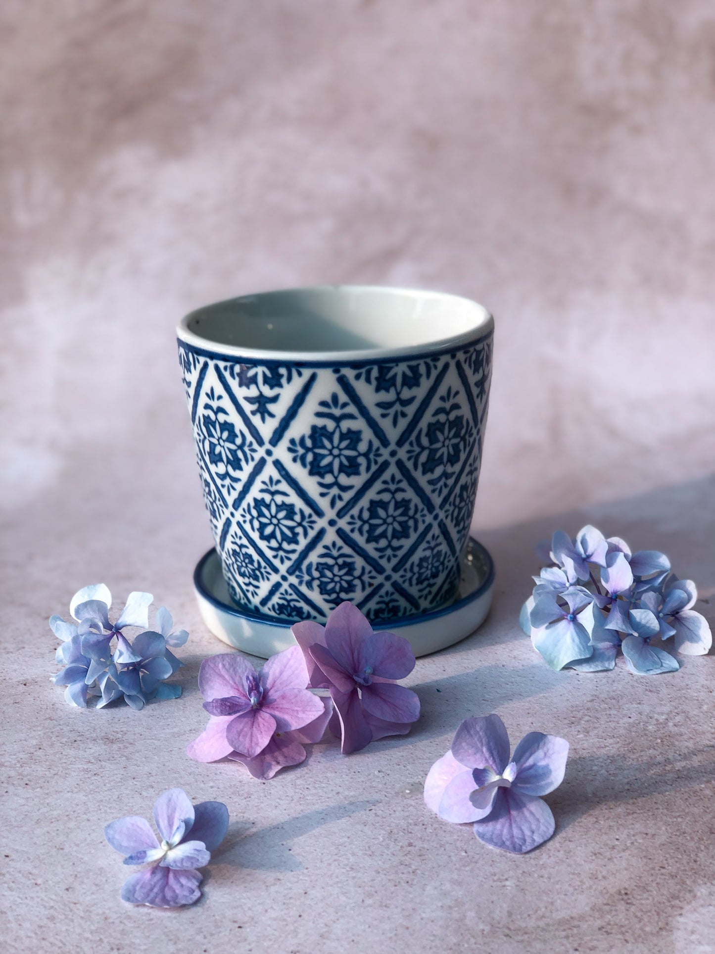 THE MONICA PLANTER