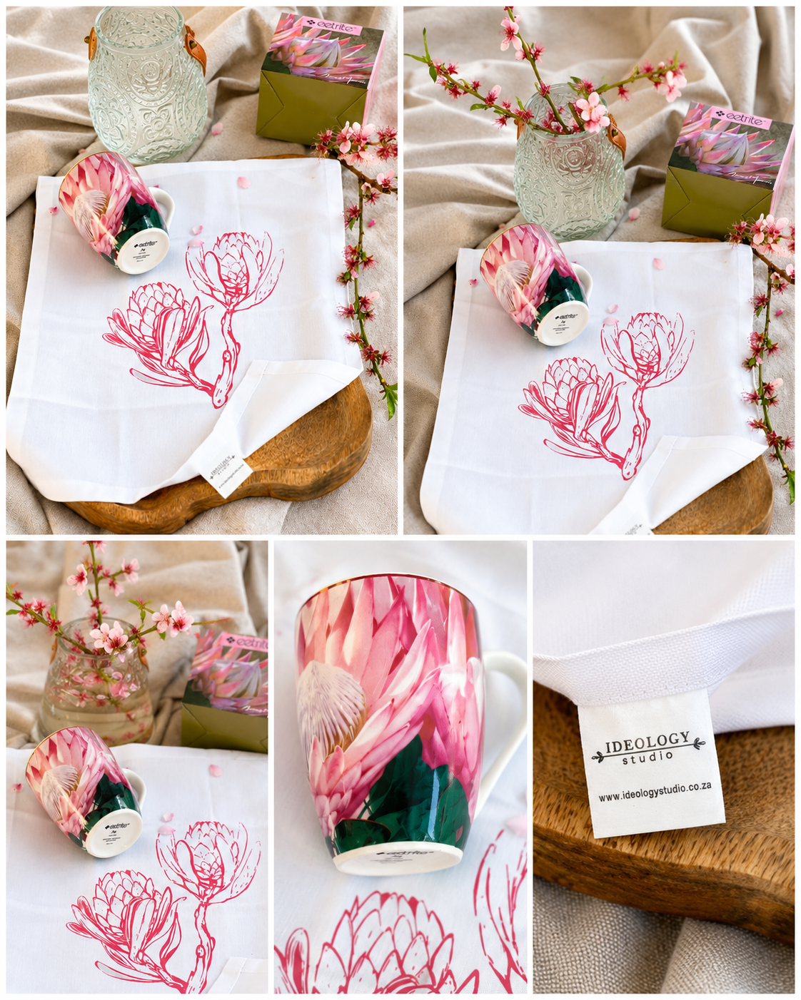 The Protea Set in colab with Ideology Studio